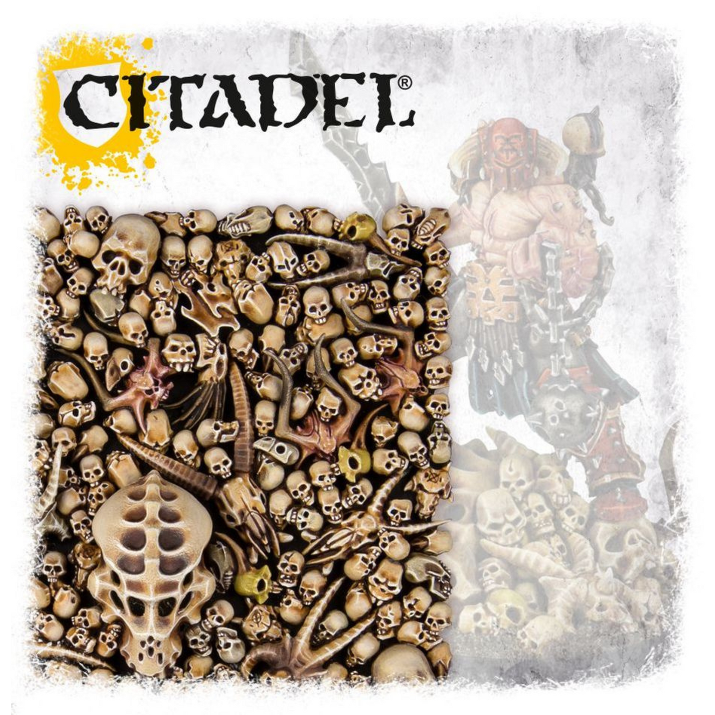 Games Workshop Warhammer Citadel Skulls