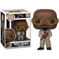 Funko Pop Music Tupac Shakur 252
