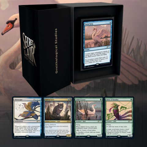 Magic the Gathering Secret Lair Super Drop Series Ornithological Studies