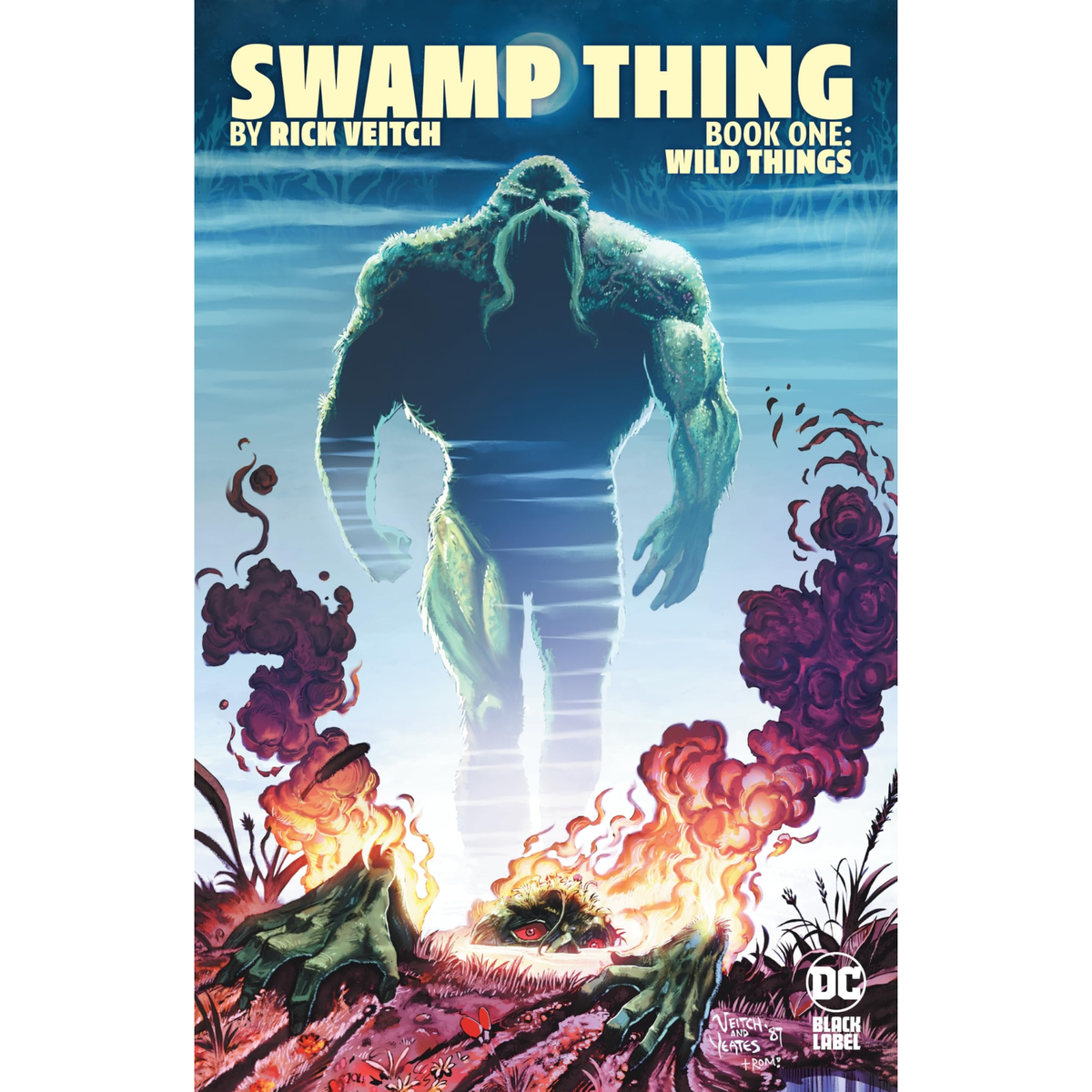 Swamp Thing By Rick Veitch