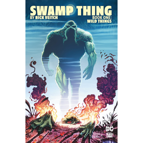 Swamp Thing By Rick Veitch