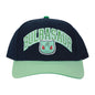 Pokémon Bulbasaur 001 Blue Brim Snapback Hat